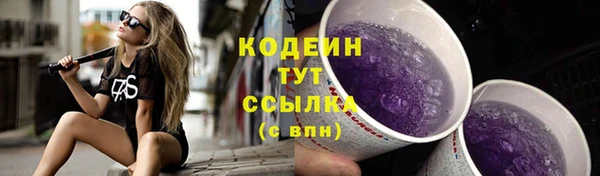 меф Вяземский
