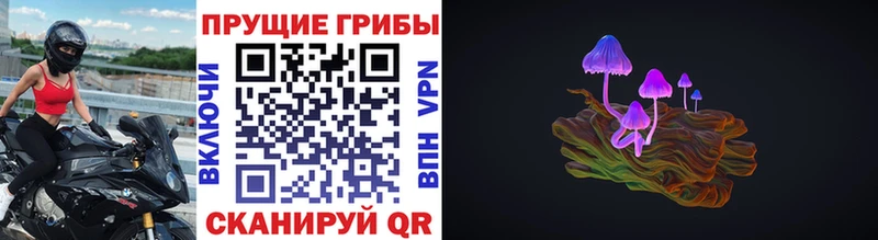 Галлюциногенные грибы Cubensis  Братск 